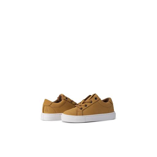  Baskets Dakar Pisco
