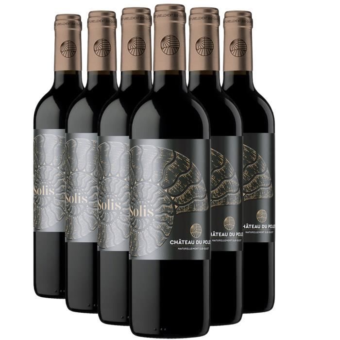 Madiran Solis Rouge 2020 - Lot de 6x75cl - Château du Pouey - Vin AOC Rouge du Sud-Ouest - Cépage Tannat
