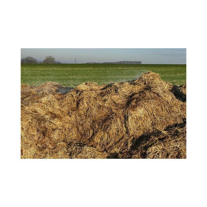 Esterco orgânico de cavalo 20 kg