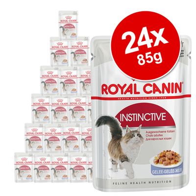 Royal Canin Adult Jelly & Gravy Μικτή Συσκευασία 24 x 85 g