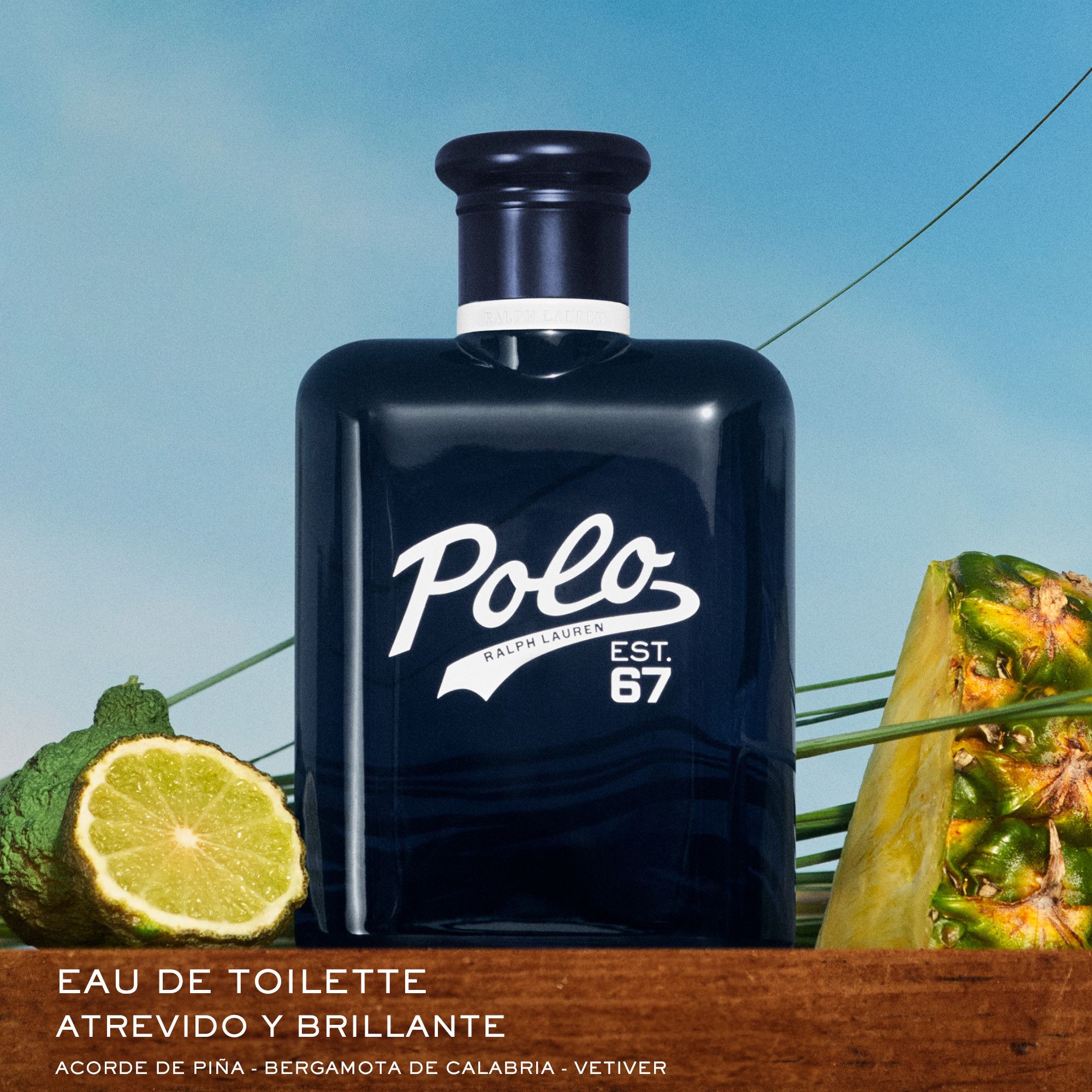 Polo 67 Eau de Toilette Kolonjske vode za muškarce