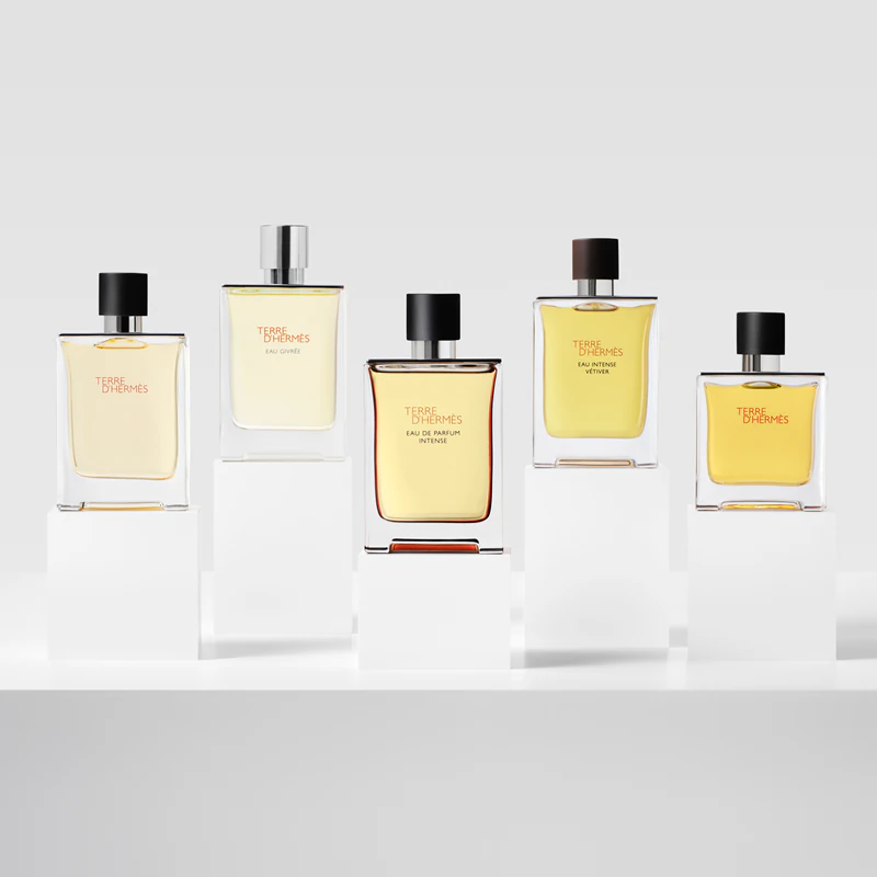 HERMÈS Terre d'Hermès Eau de Parfum Intense intenso para homens