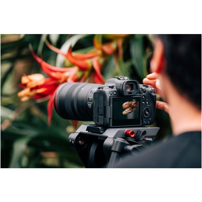 Canon RF 100mm f/2.8 macro L IS USM prime lens for mirrorless cameras
