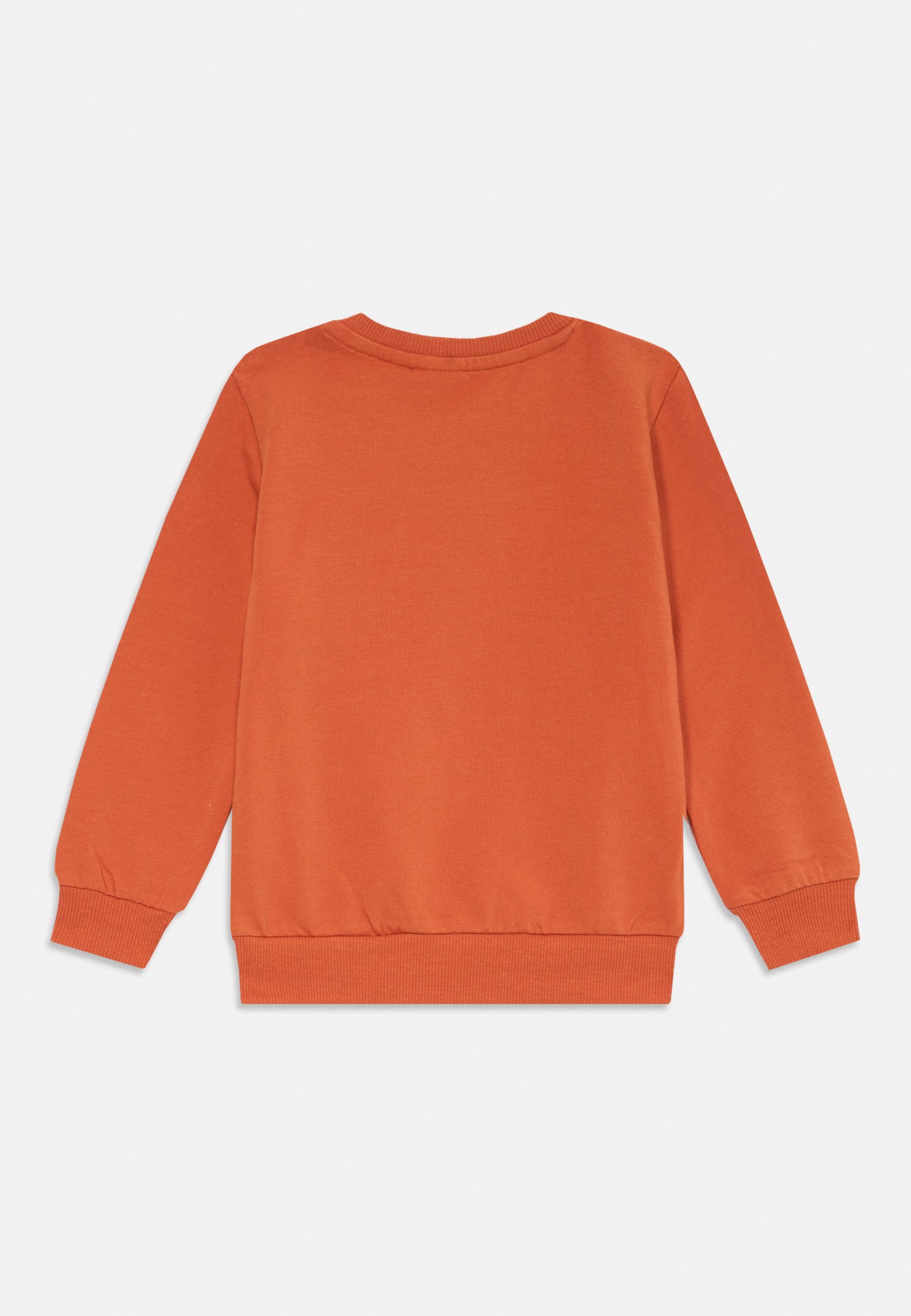 Nommez-le NBMOFUN - Sweat-shirt - feuille d'automne