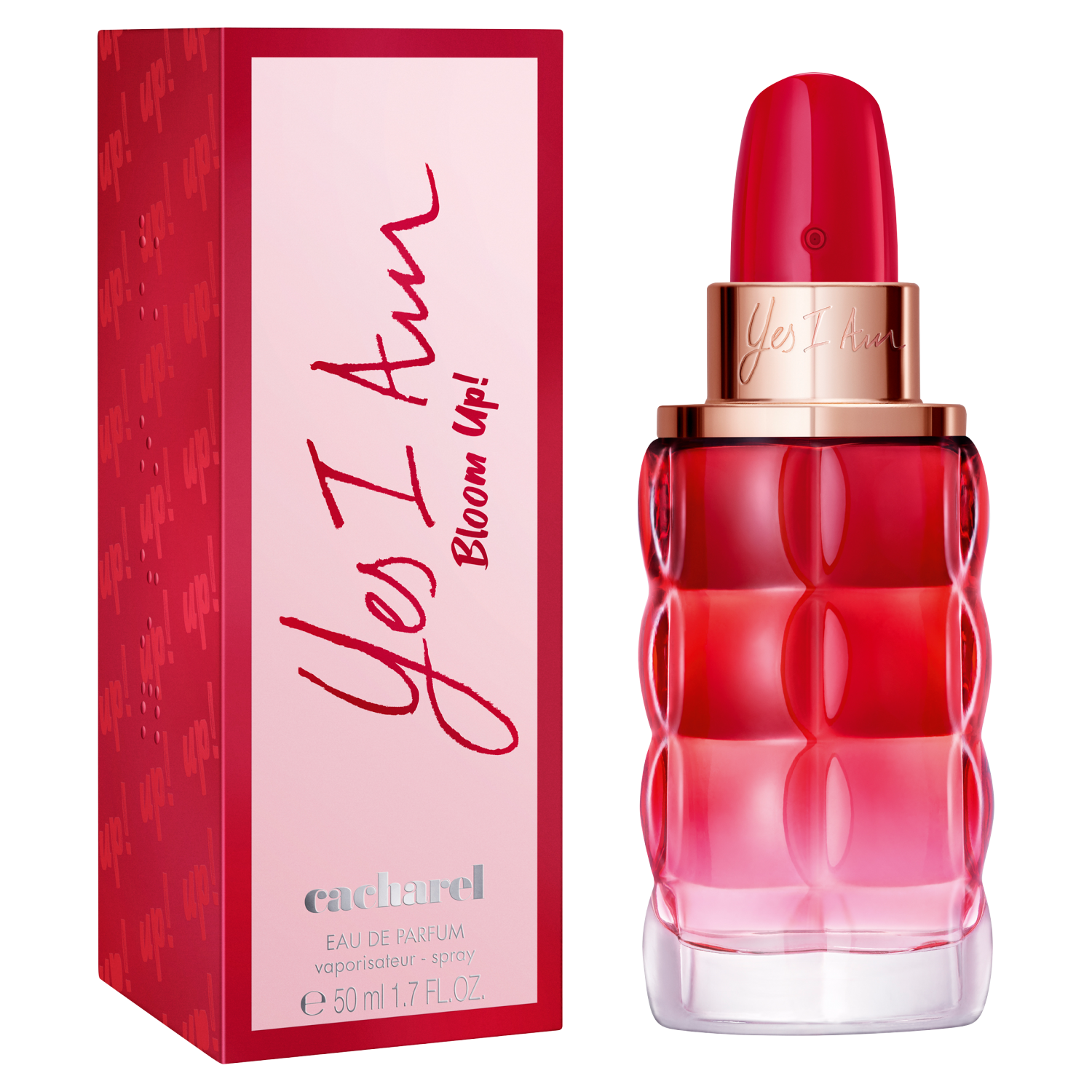 Cacharel Sim, eu sou Bloom Up!