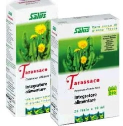 SALUS HAUS Jus de pissenlit 200 ml Bio