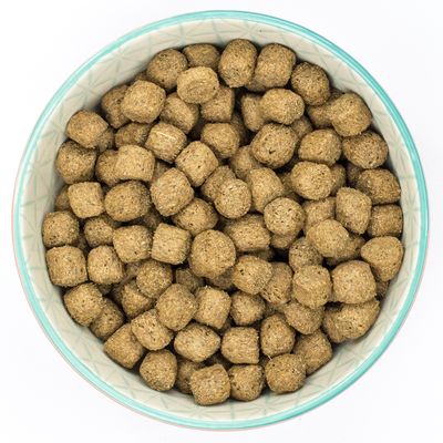 Burns Control de Peso para Adultos y Mayores+ - Pollo y Avena