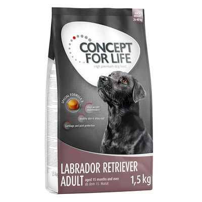 Concept pentru viață Labrador Retriever Adult