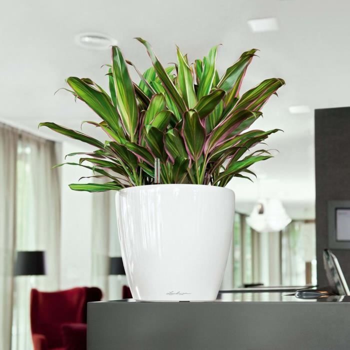 LECHUZA Pot de fleurs Classico 28 LS ALL-IN-ONE  - Ø 28 X 26 cm - Blanc brillant 16040