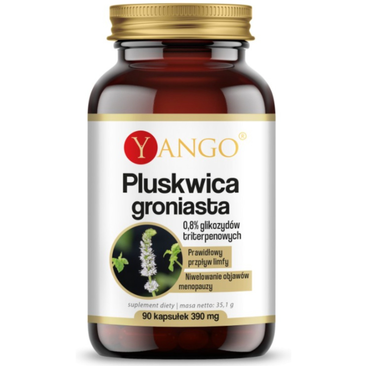 Yango Pluskwica groniasta