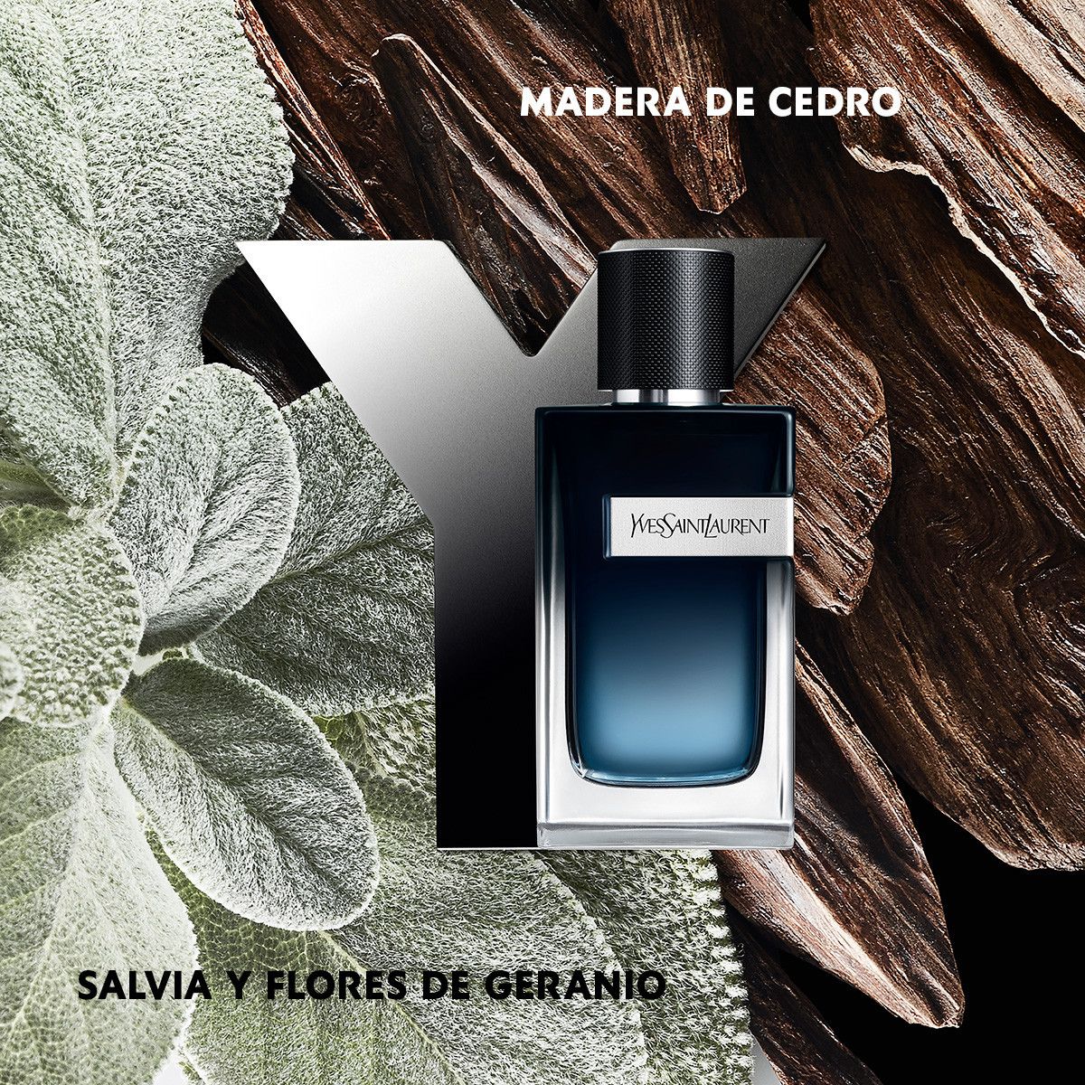 Eau de Parfum Refill za muškarce Parfemi za muškarce