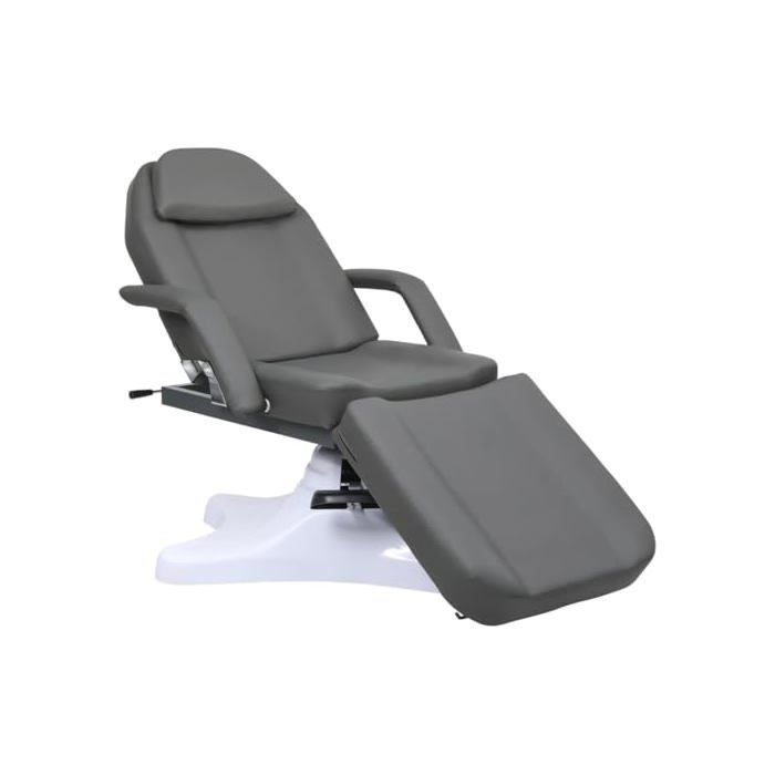 Camilla de masaje - vidaXL - 180x62x(86,5-118) cm - Gris - PVC - Rotación de 360 grados - Respaldo ajustable