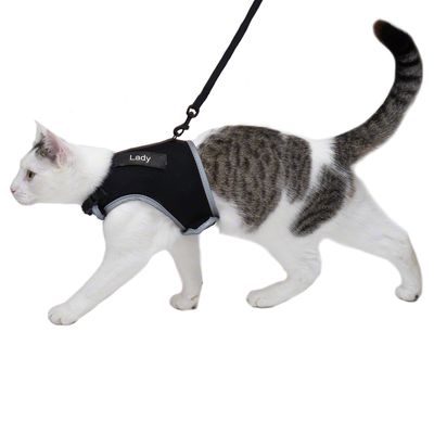 Pettorina Trixie XCat XL con guinzaglio e adesivi esclusivi.