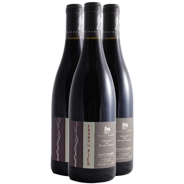 Saumur-Champigny Franc de Pied Rouge 2021 - Bio - Lot de 3x75cl - Domaine des Roches Neuves - Vin AOC Rouge du Val de Loire