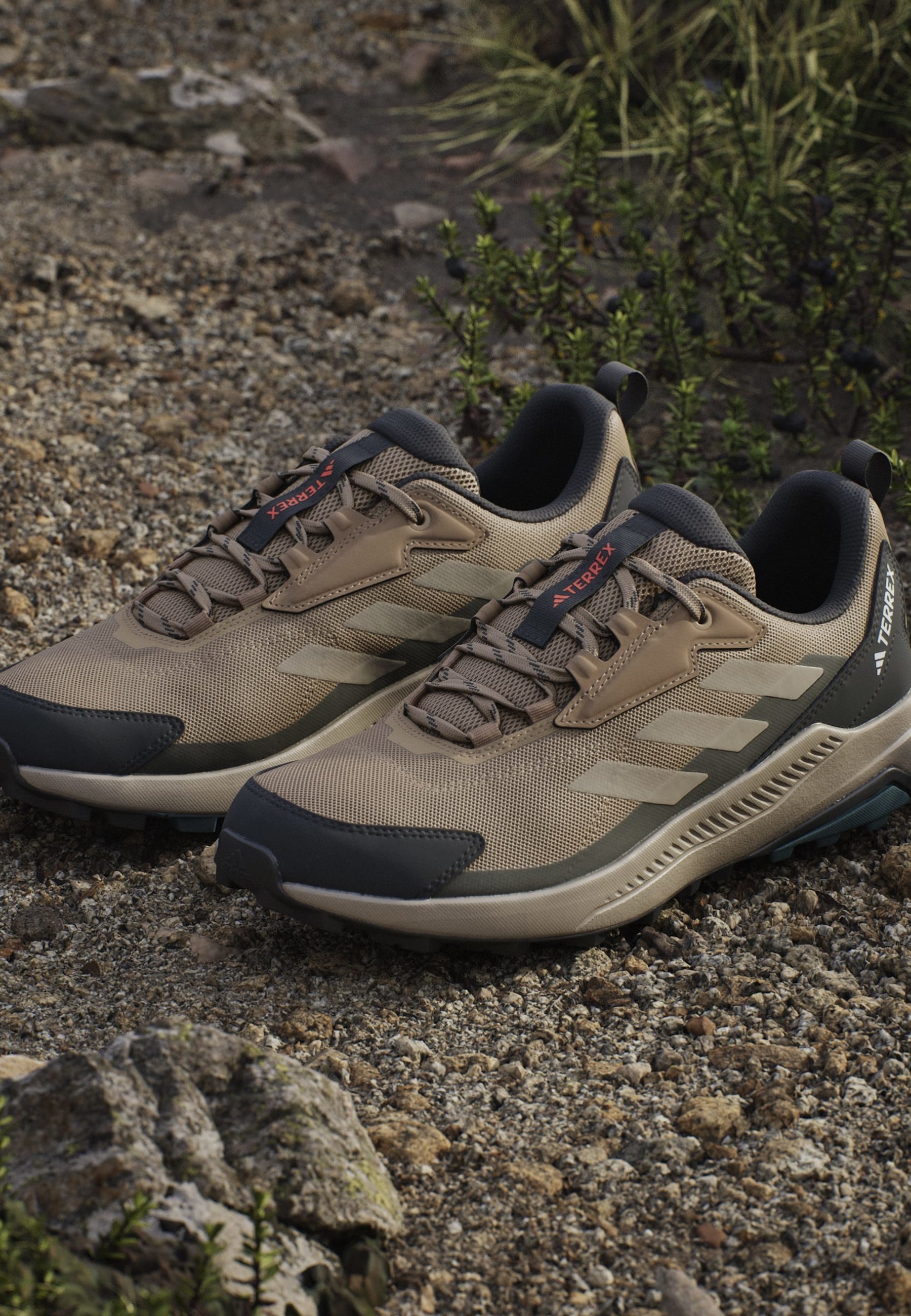 Adidas Terrex ANYLANDER - Chaussures d'escalade - coloris carton blanc cargo ombre olive