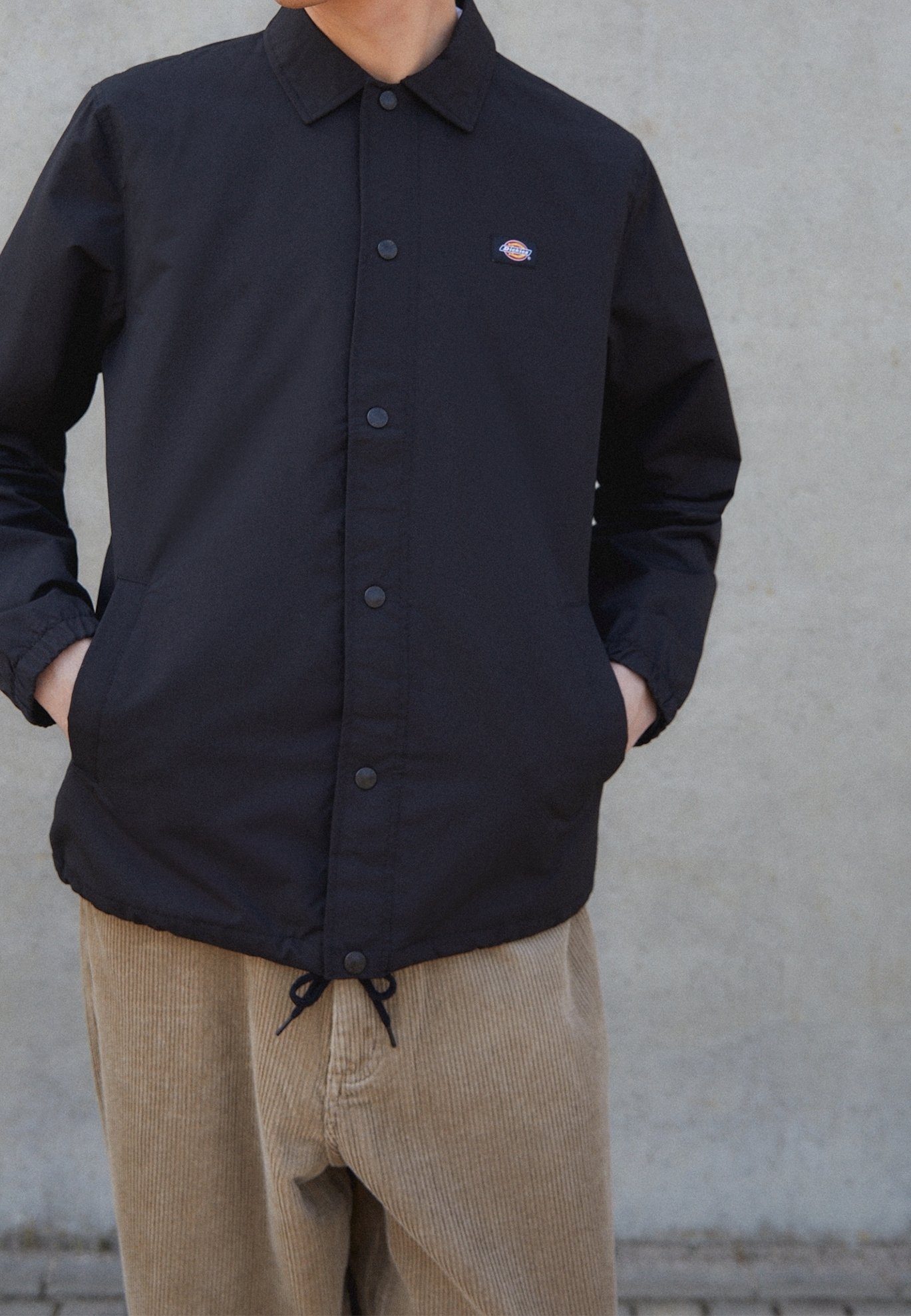 Dickies Light jas - zwart