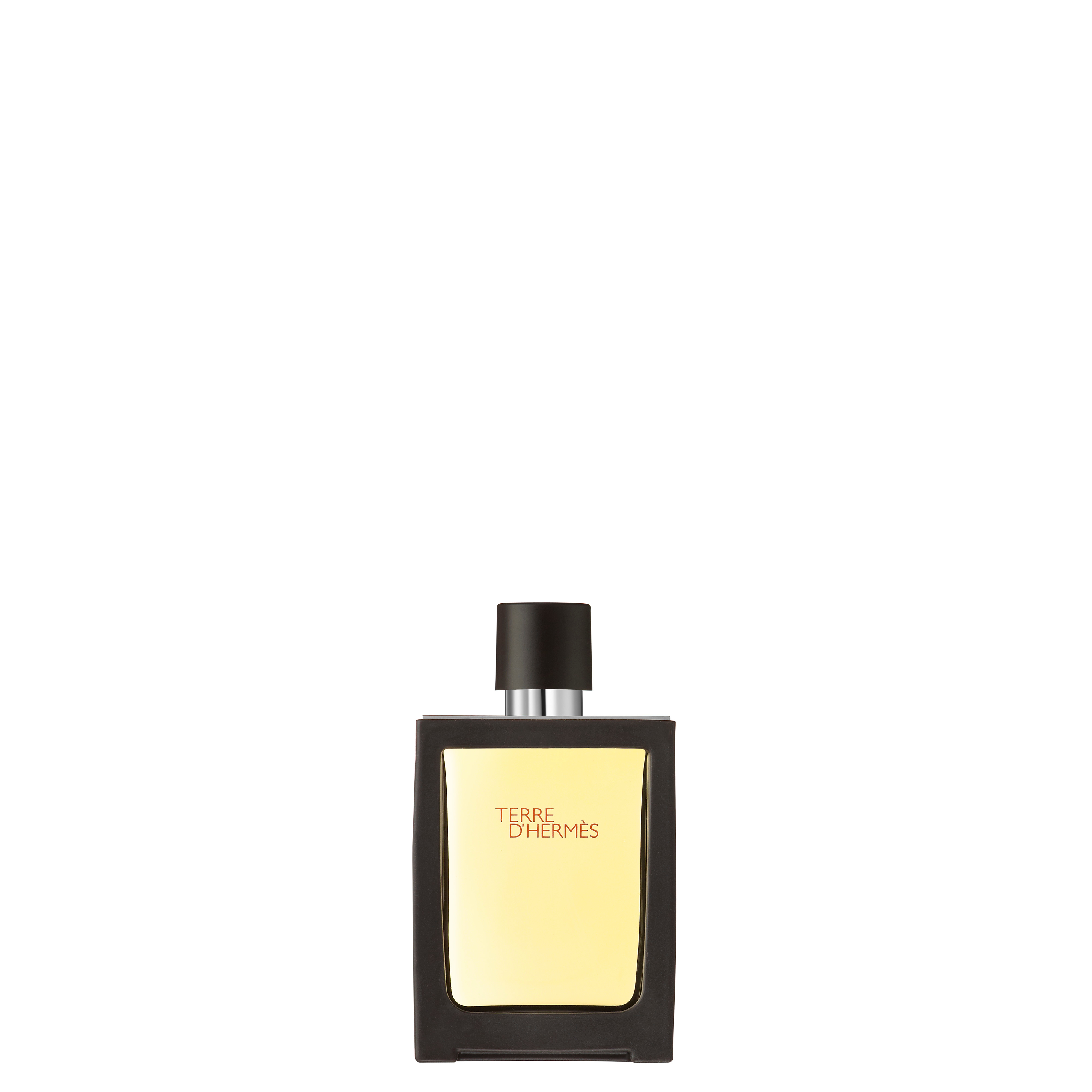 Terre D'Hermès Travel Spray Eau De Toilette 30 ml - HERMÈS