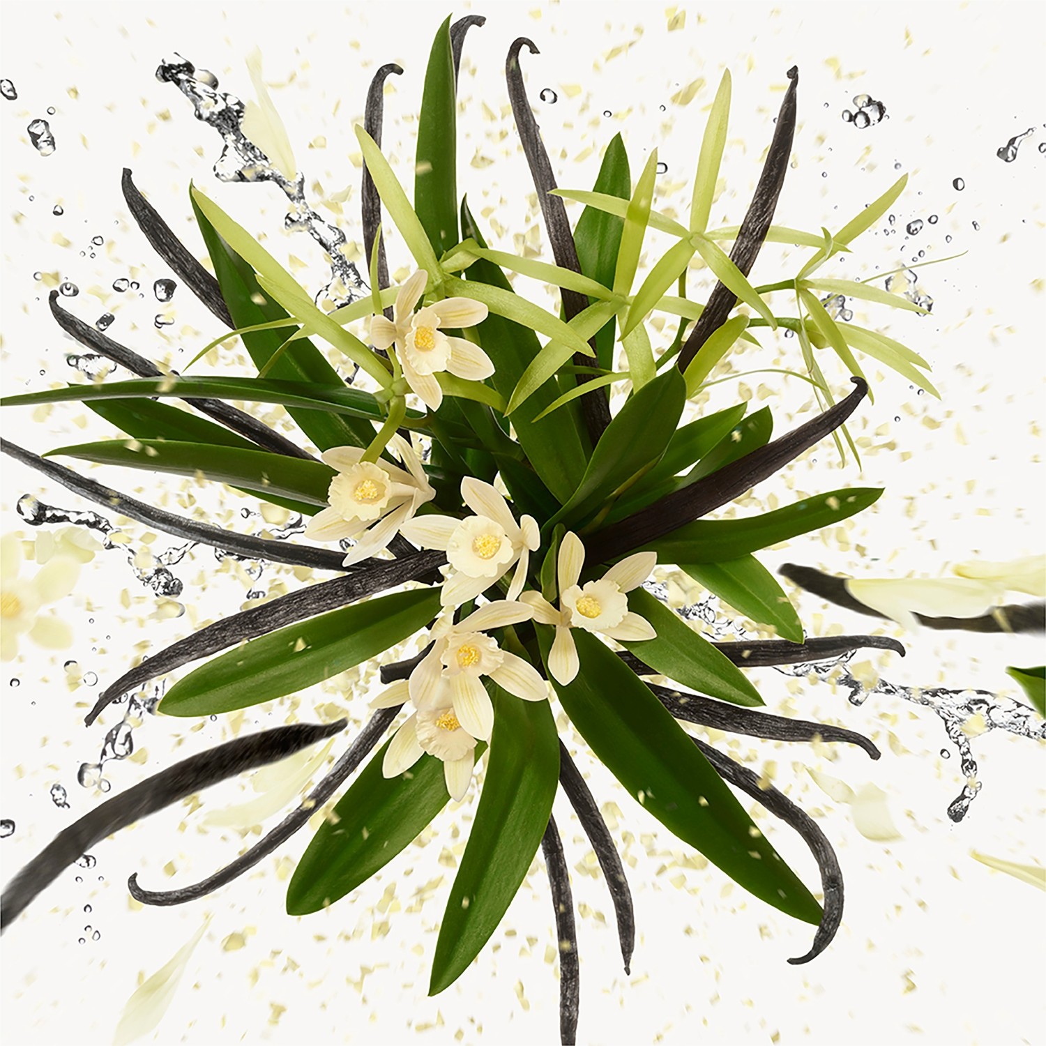 Set parfum Gucci Flora Eau de Parfum Set 50 ml - 1 bucata