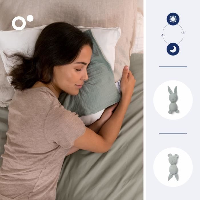 doomoo You&Me Baby Comforter - Reversible and Soothing Comforter - Comes with 2 Bodies to Carry the Parent's Scent, Green