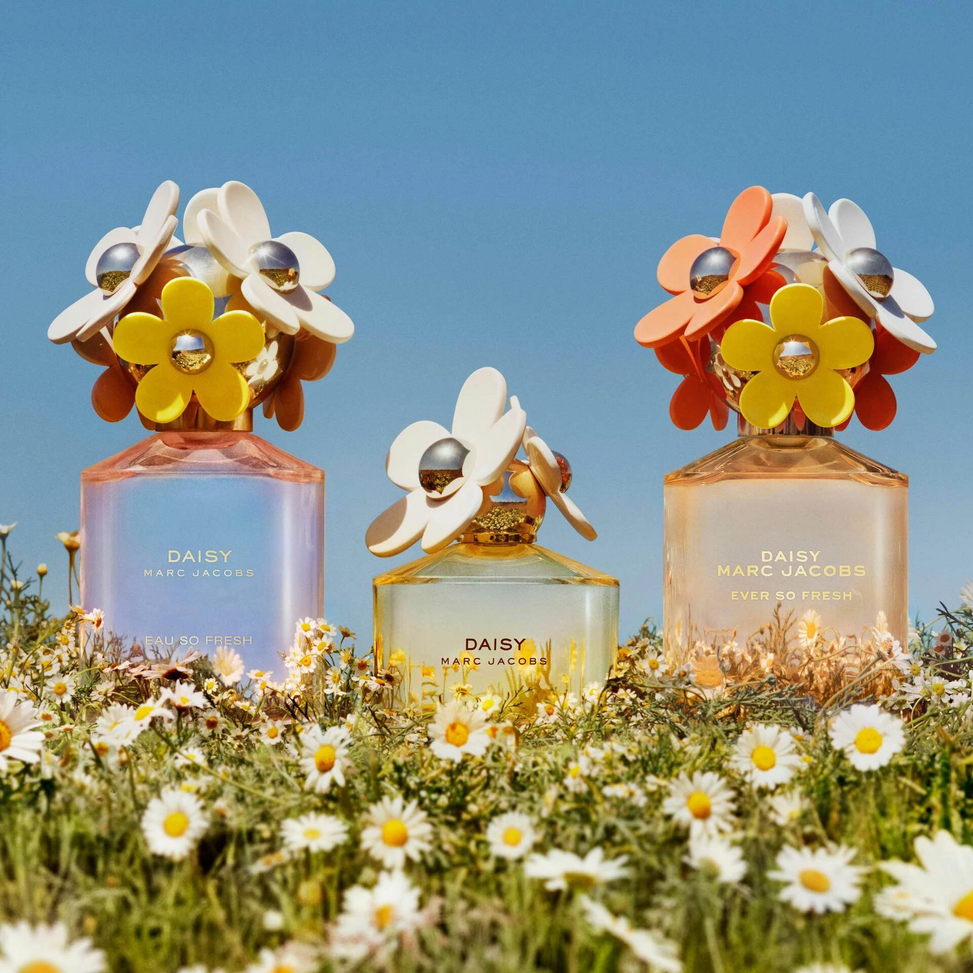 Daisy Ever So Fresh toaletna voda 75 ml - Marc Jacobs