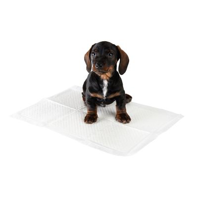 zooplus Welpen-Trainingspads