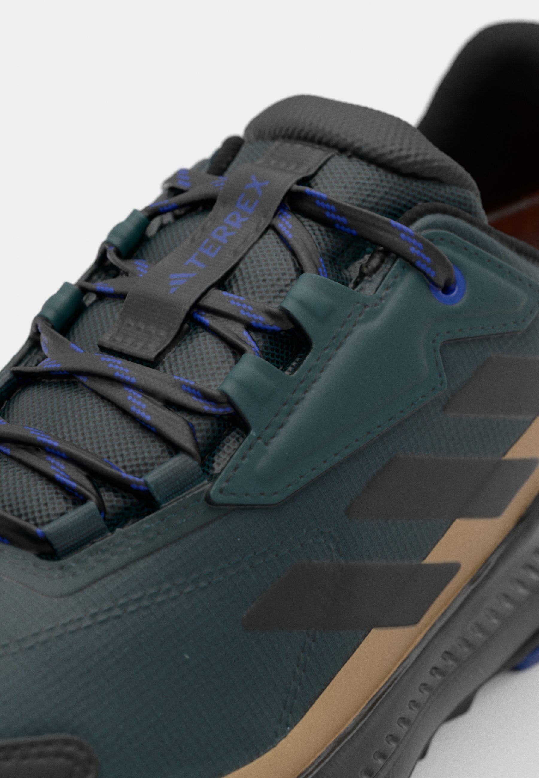 Adidas Terrex ANYLANDER R.RDY - Wandelschoenen - aurora ivy/core black/cardboard