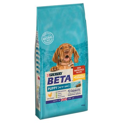 BETA Puppy Kip