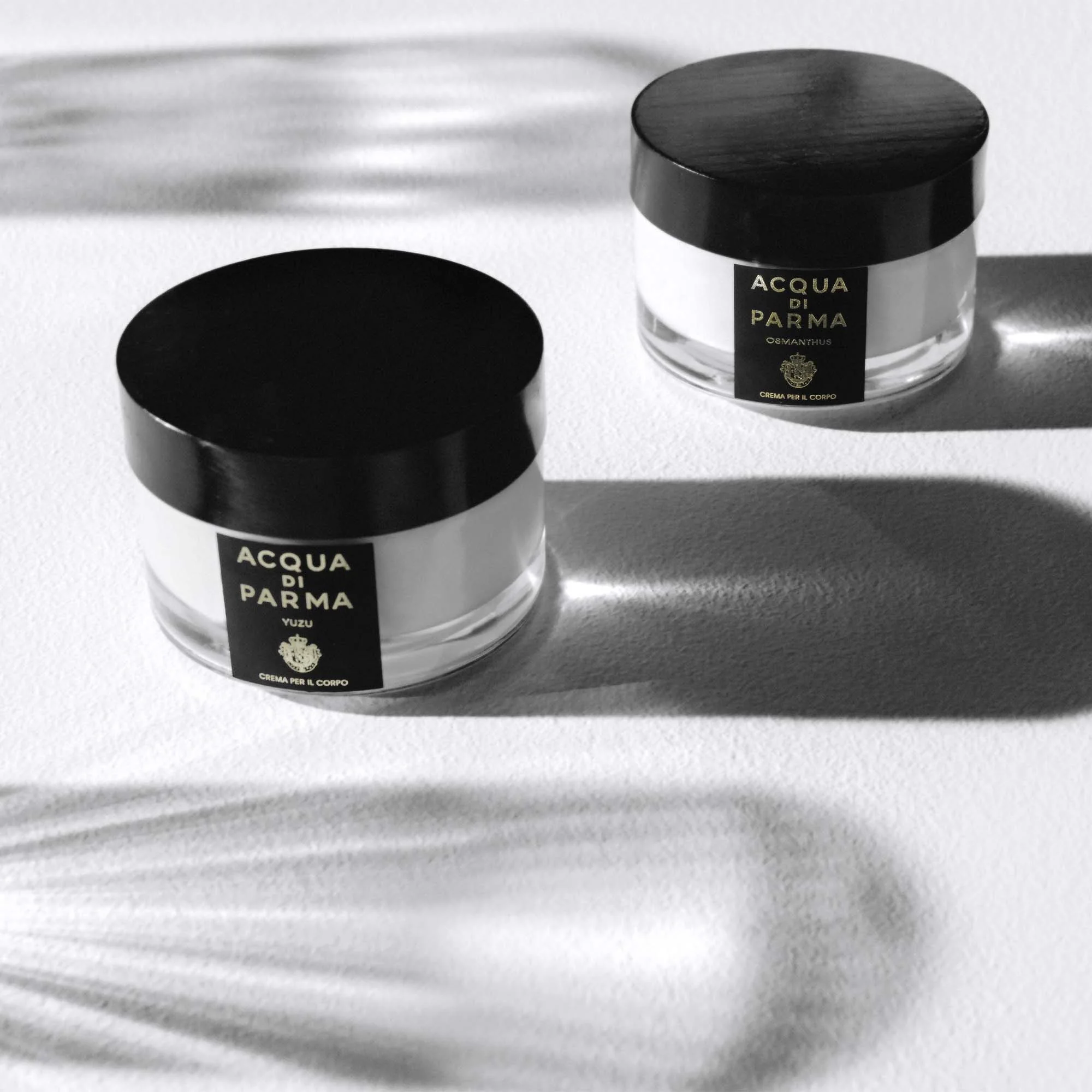 Signatures of the Sun Osmanthus Crema per il Corpo - Crema Corpo