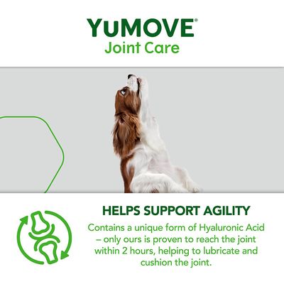 YuMOVE Soins articulaires pour jeunes chiens