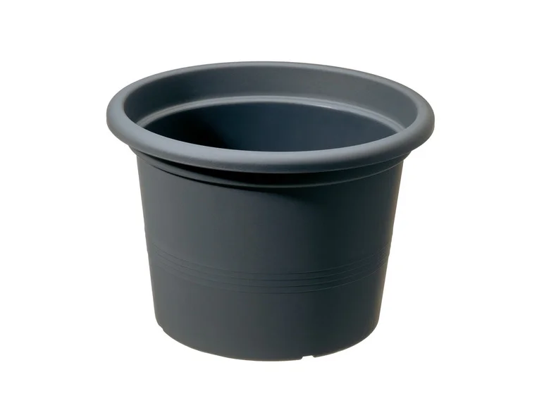 PARKSIDE® Blomsterpotte med sausplanter, 28 cm