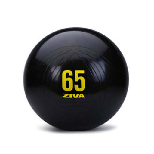  Ziva Essential Pro Fitball 65 cm proti prasknutiu Core-fit lopta