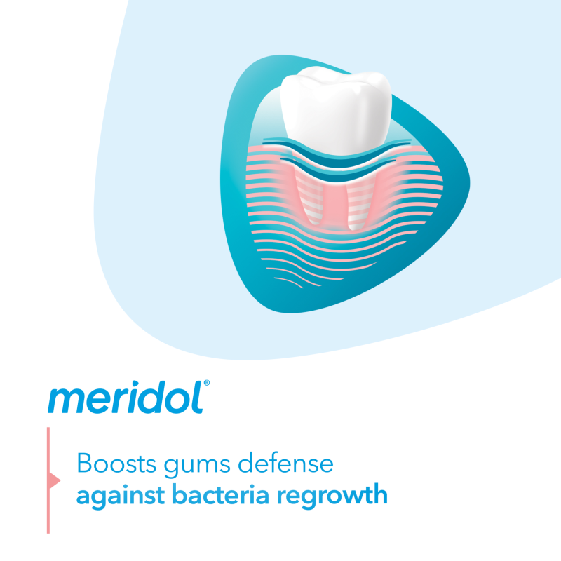 Meridol Mundspülung zum Schutz des Zahnfleisches 400 ml