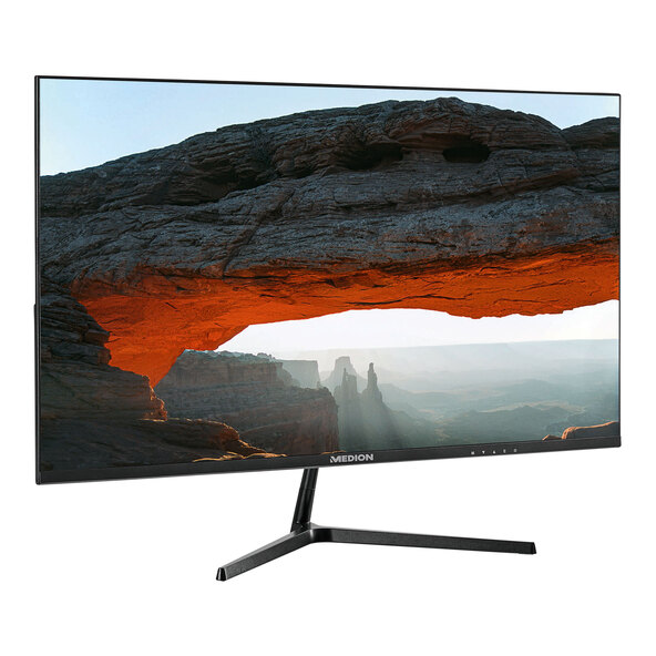 Monitor Full HD de 24