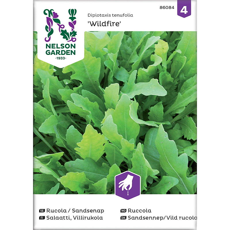 Nelson Garden Seeds - Hiekkasinappi, rucola-tyyppi, Wildfire