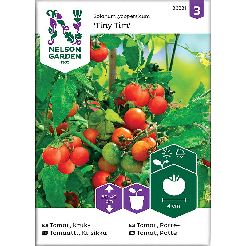 Graines de tomates en pot Nelson Garden Seeds, Tiny Tim