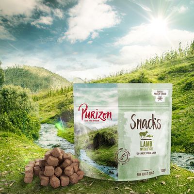 Purizon Dog Snacks Grain-Free Saver Pack 3 x 100 g