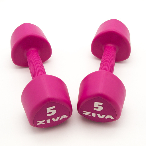  x 5 kg Ziva Chic Studio Pink Hanteln