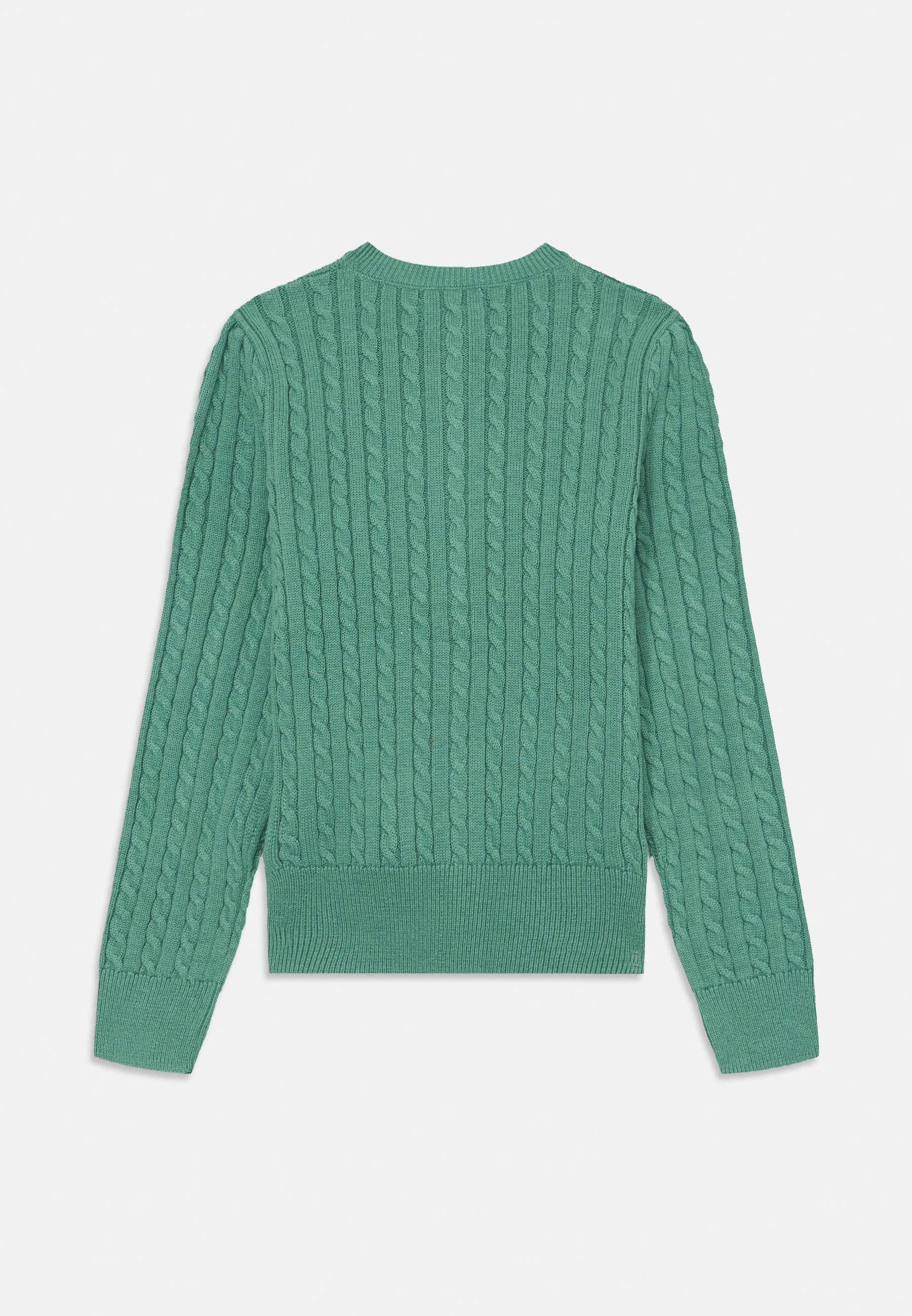 Polo Ralph Lauren KIDS MINICABLBEAR CARDIGAN - Kardigan - fairway green