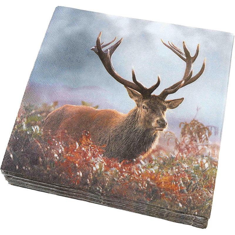 Vie Eco Servietter 20-pak 33x33 cm, Efterår