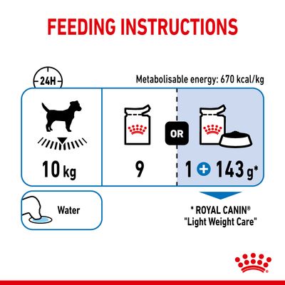 Pane leggero Royal Canin per la cura della pelle