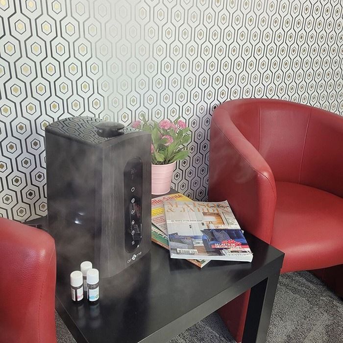 Humidificador ultrasónico - AIR AND ME - CLAR0001 - 5 L - Hasta 40 m² - HygroSmart, ionizador, aromaterapia