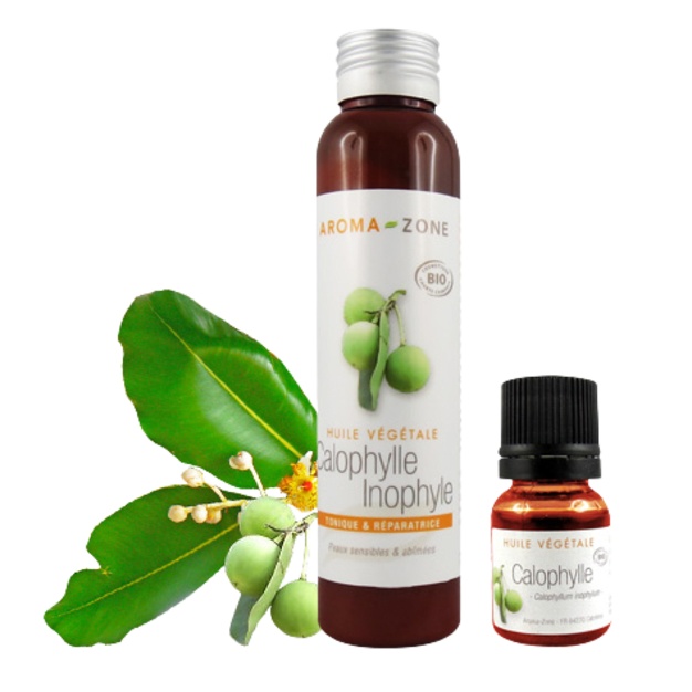 Olio biologico di Calophyllum Inophyllum 100 ml