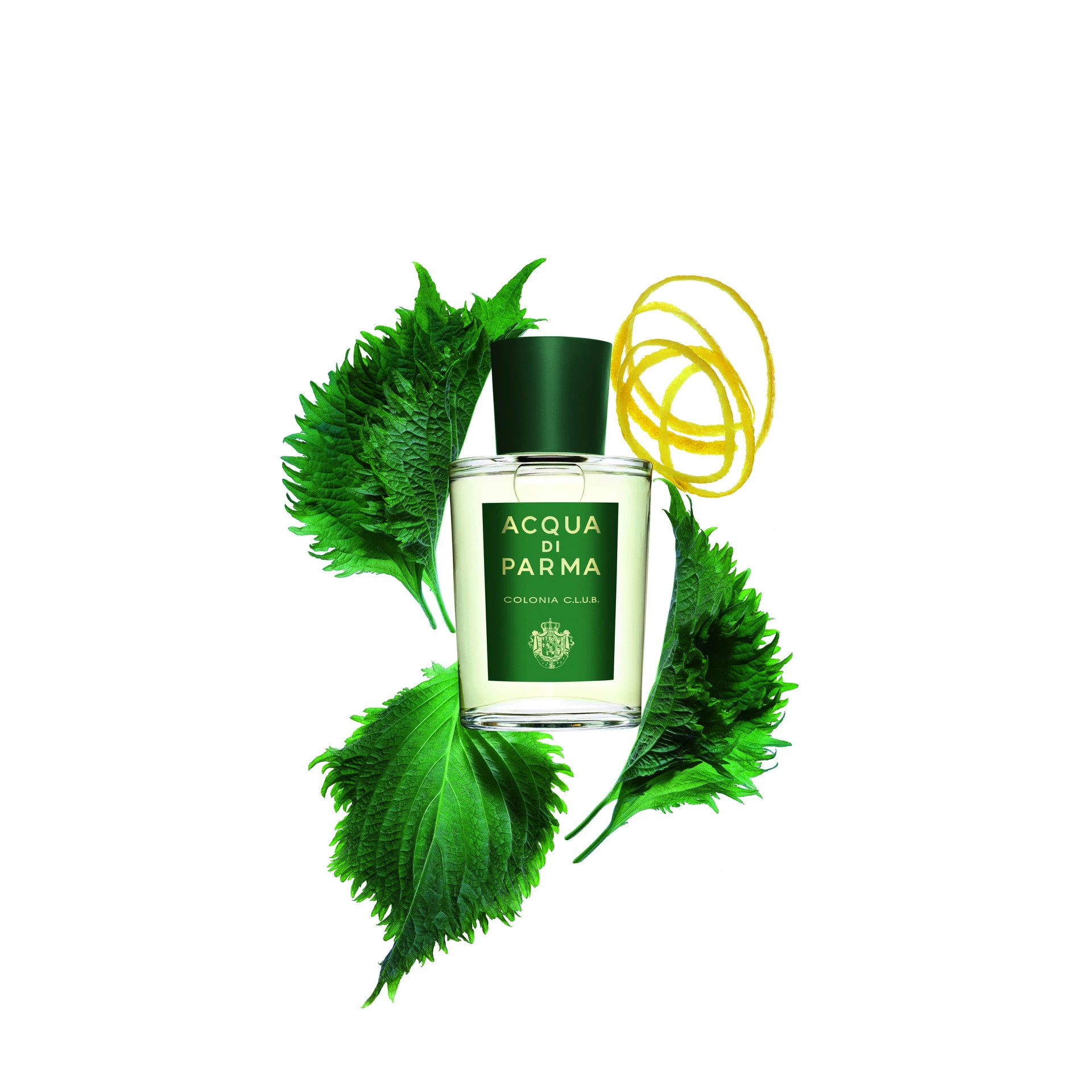 Colonia CLUB EdT 100 ml - Acqua di Parma