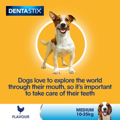 Pedigree Dentastix – codzienna pielęgnacja jamy ustnej dla średnich psów (10–25 kg)