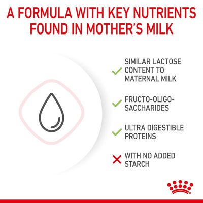 Latte per gattini Royal Canin