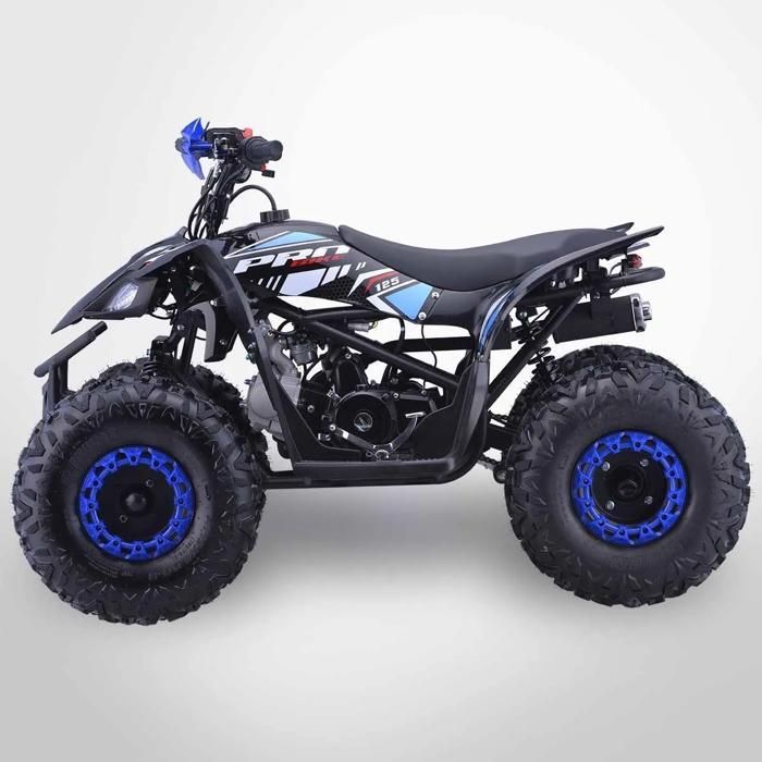 PROBIKE 125-R Quad infantil de 125 cc / Azul