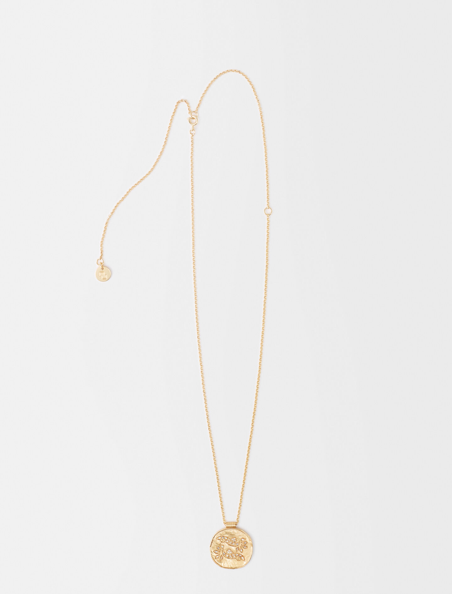 Constellation-Poisson-medaille