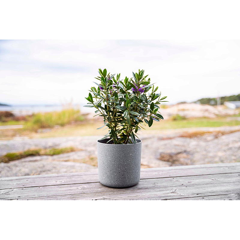 Home Terrazzo blomsterpotte ø 18 cm