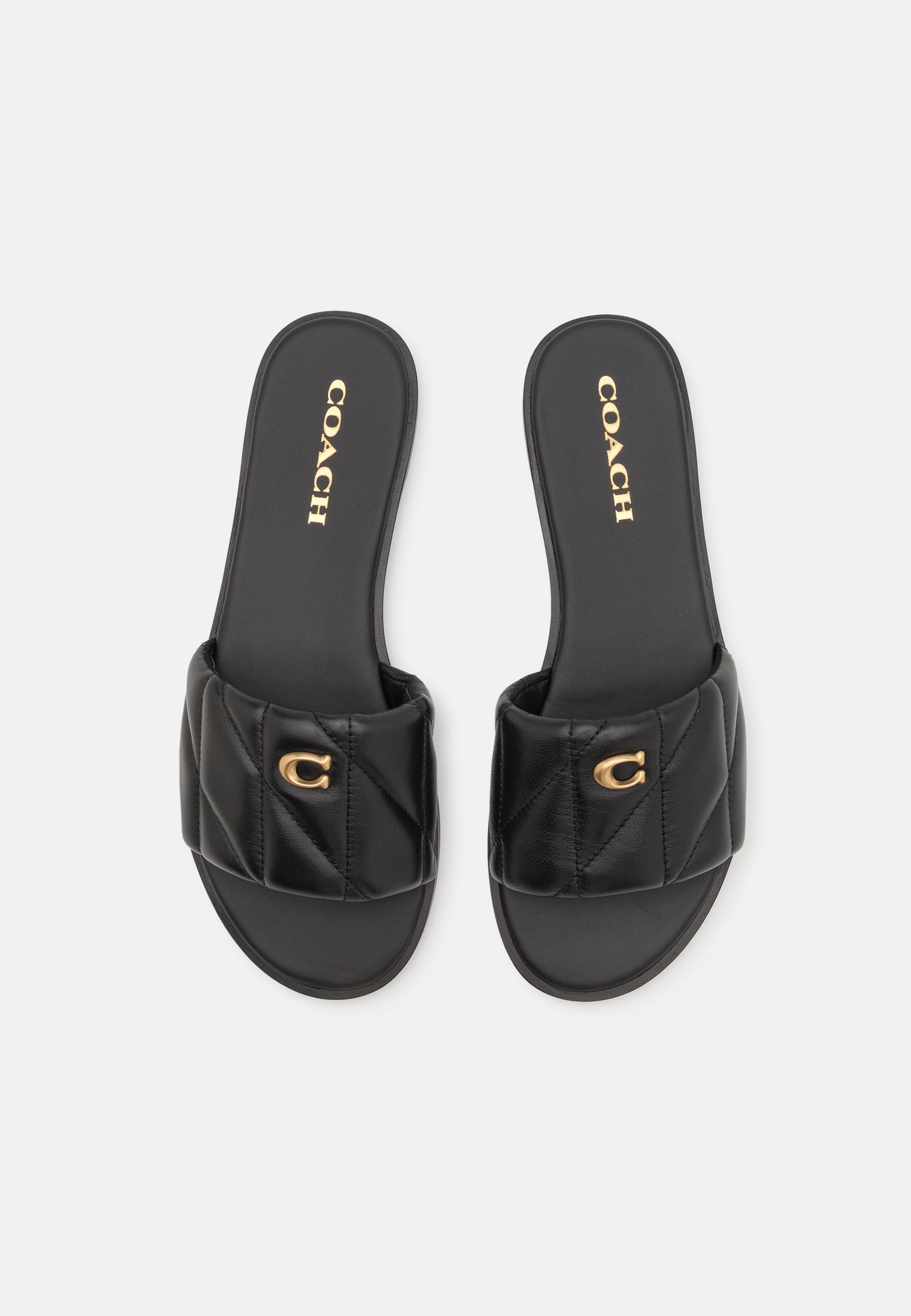 COACH HOLLY - Tøfler - black