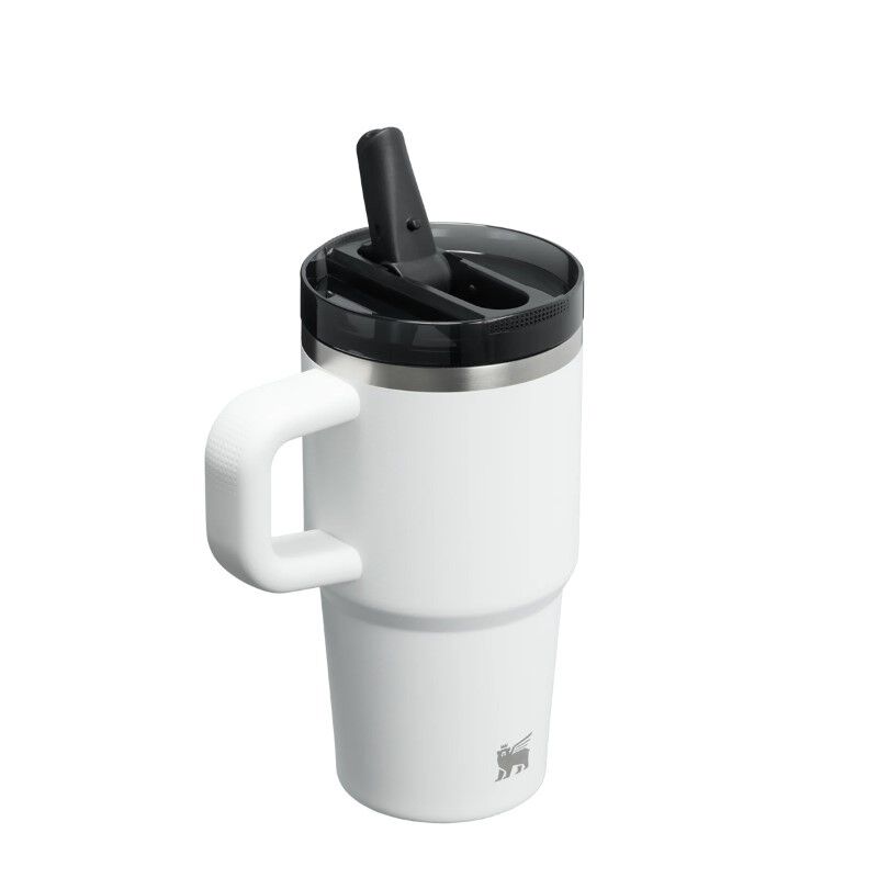 Stanley Quencher ProTour